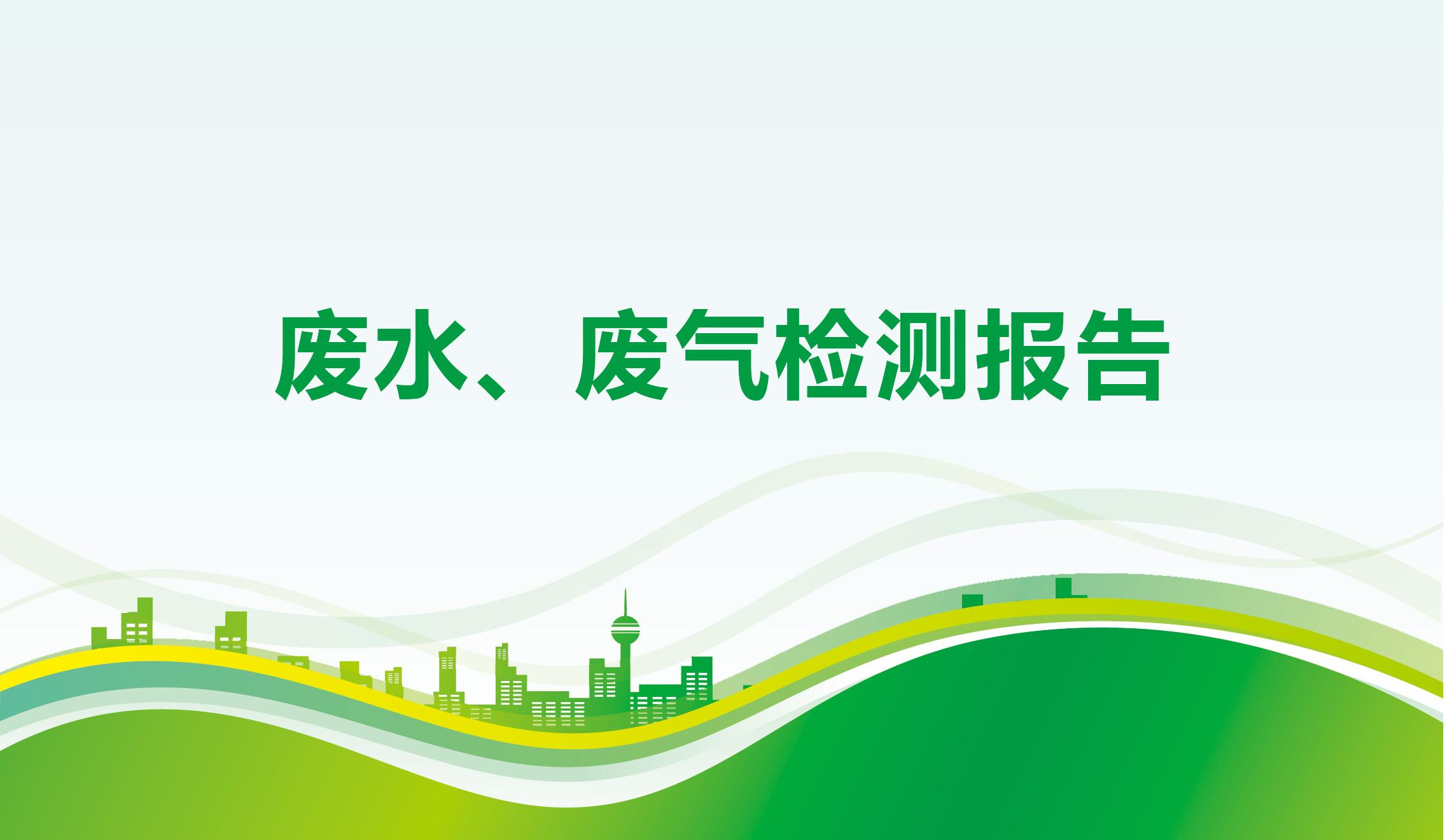 废水、废气检测报告-海一