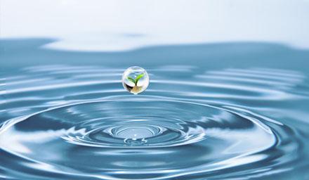 喜报 | 拉斯维加斯9888股份成功获评“江苏省节水型企业”！